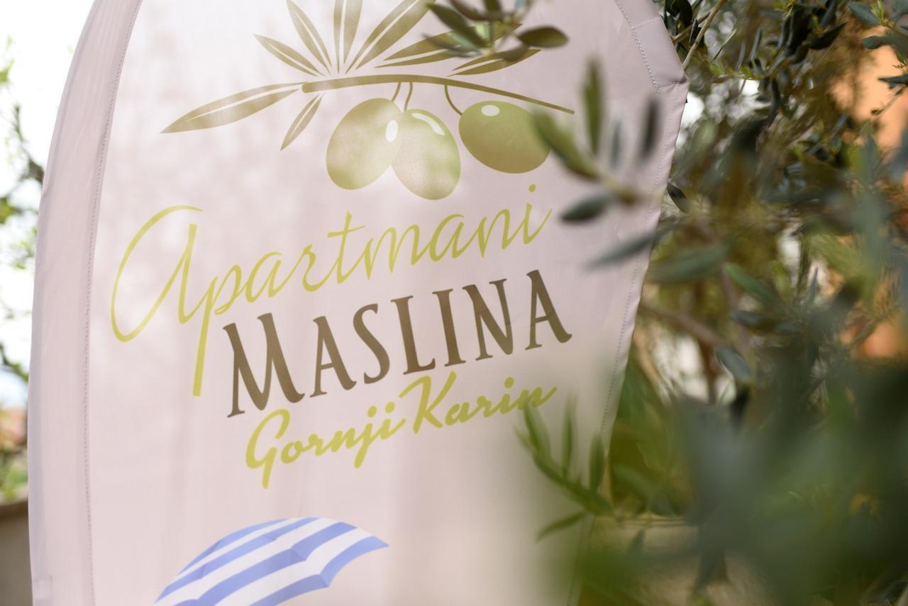 Studio Apartment Maslina ゴルニ・カリン エクステリア 写真
